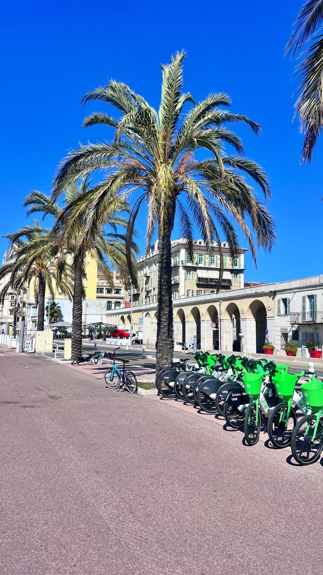 Appartement L'azur Plaisance - Le Port Lympia Nice